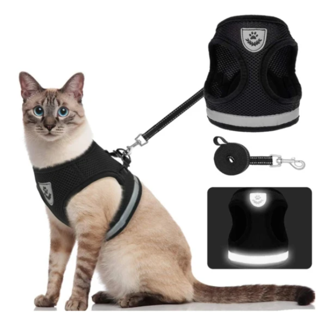 AdventureKit - Sikker sele for eventyrlystne katter Skanto