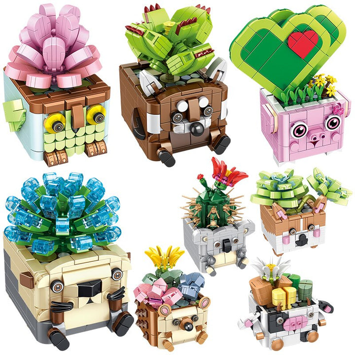 Skanto | Kaktus Sukkulent Dyre Plantepotter Byggesett
