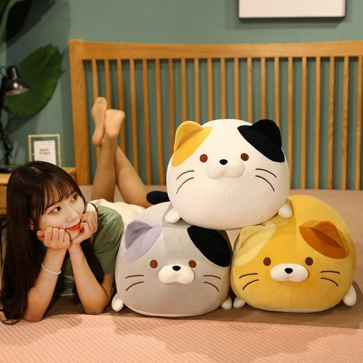 Skanto | Chubby Cat Squad
