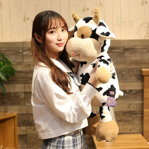Skanto | Cookie The Cow