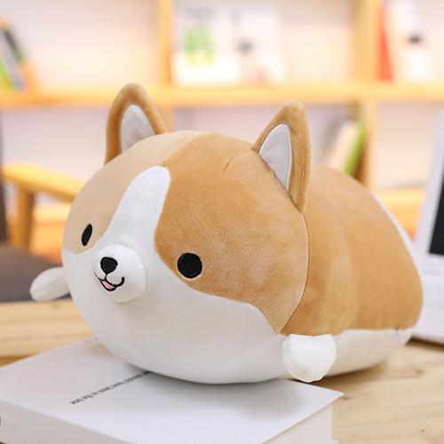 Skanto | Corgi Kosevenner
