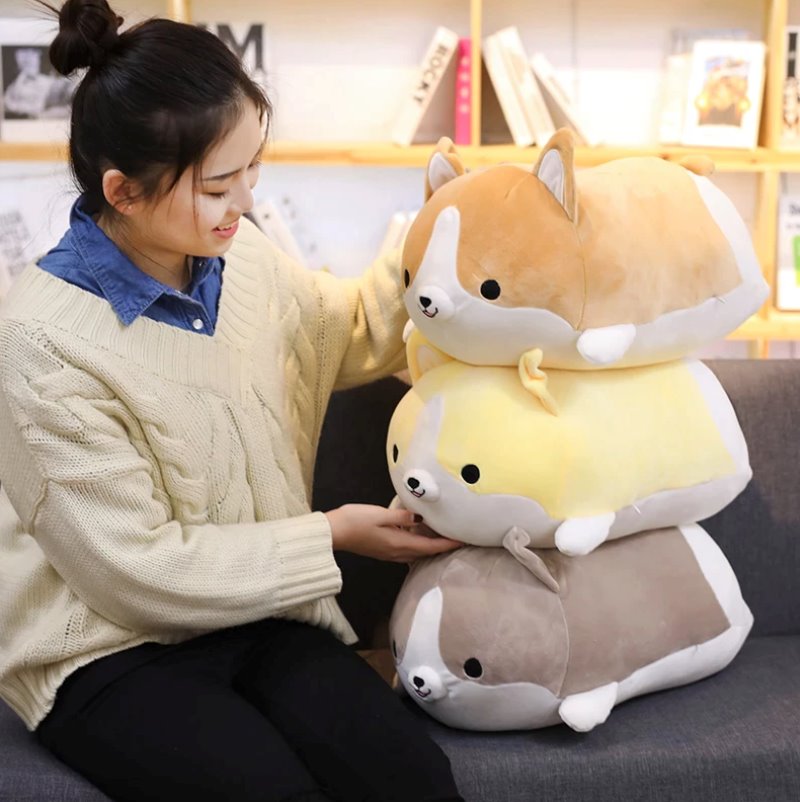 Skanto | Corgi Kosevenner