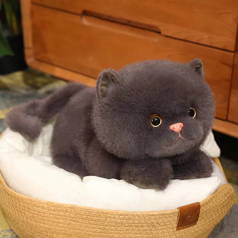 Skanto | Fluffy Kitten Squad Liggende Plushies