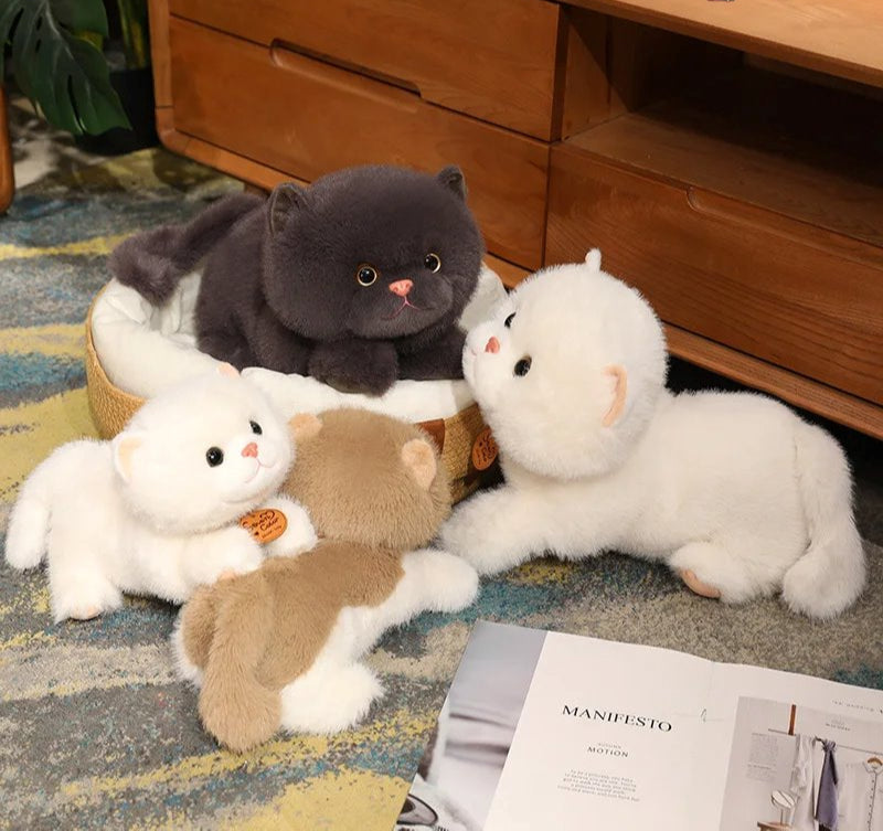 Skanto | Fluffy Kitten Squad Liggende Plushies