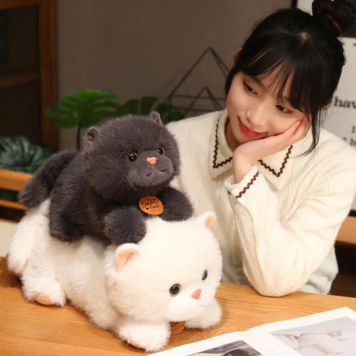 Skanto | Fluffy Kitten Squad Liggende Plushies