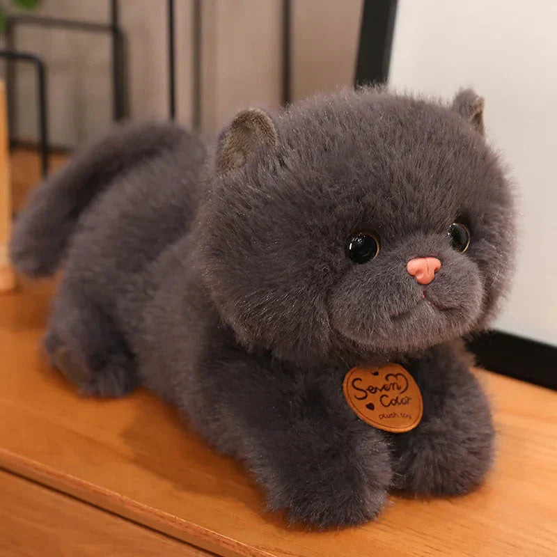 Skanto | Fluffy Kitten Squad Liggende Plushies