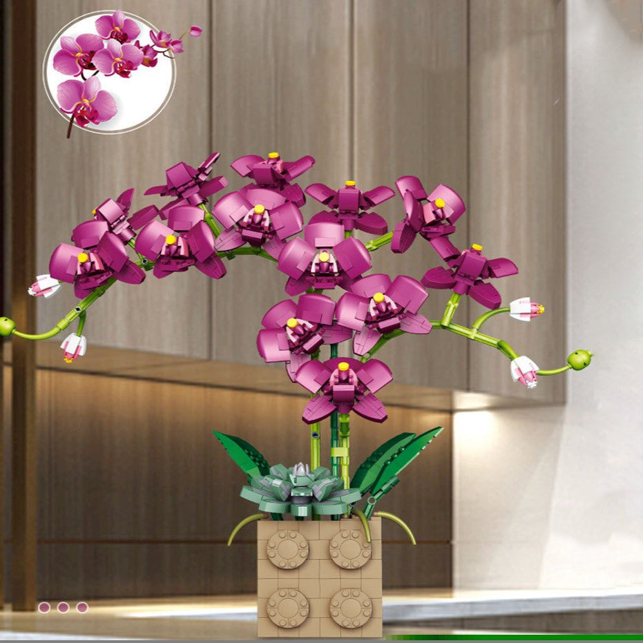 Skanto | Huge Blossoming Orchid Flower Bygning Sett Samling