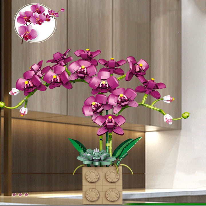 Skanto | Huge Blossoming Orchid Flower Bygning Sett Samling