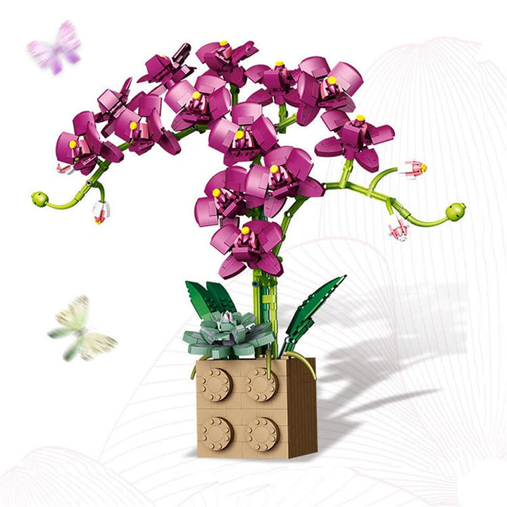 Skanto | Huge Blossoming Orchid Flower Bygning Sett Samling