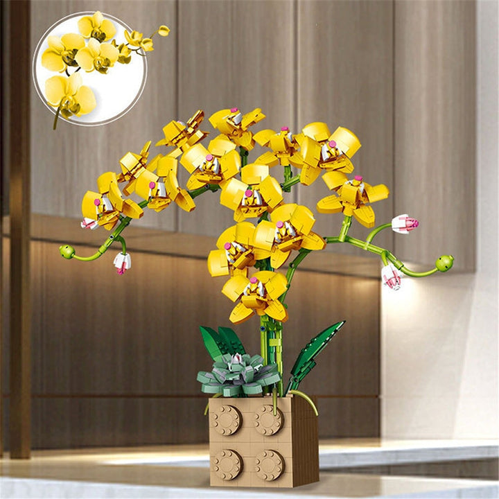 Skanto | Huge Blossoming Orchid Flower Bygning Sett Samling