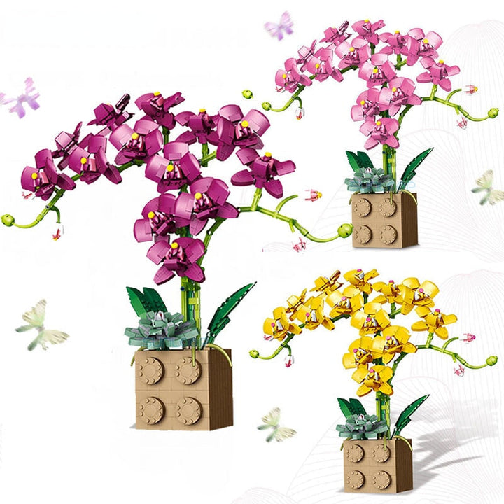 Skanto | Huge Blossoming Orchid Flower Bygning Sett Samling