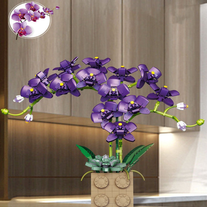 Skanto | Huge Blossoming Orchid Flower Bygning Sett Samling
