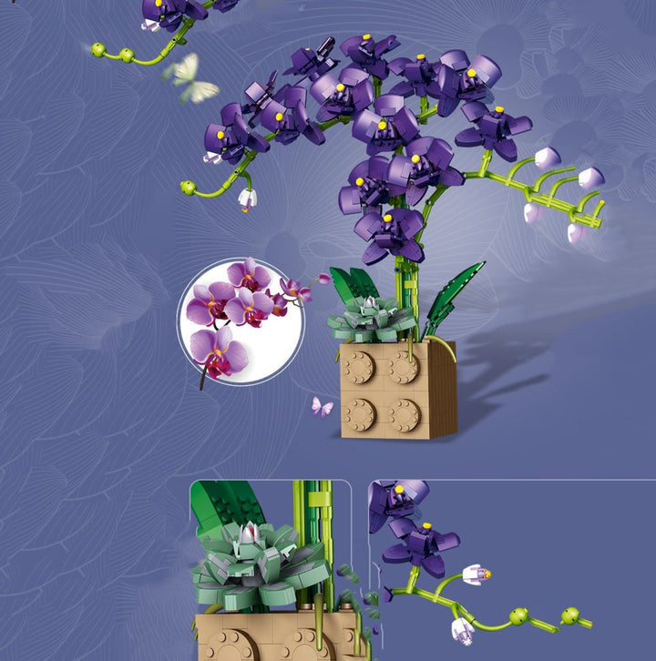 Skanto | Huge Blossoming Orchid Flower Bygning Sett Samling
