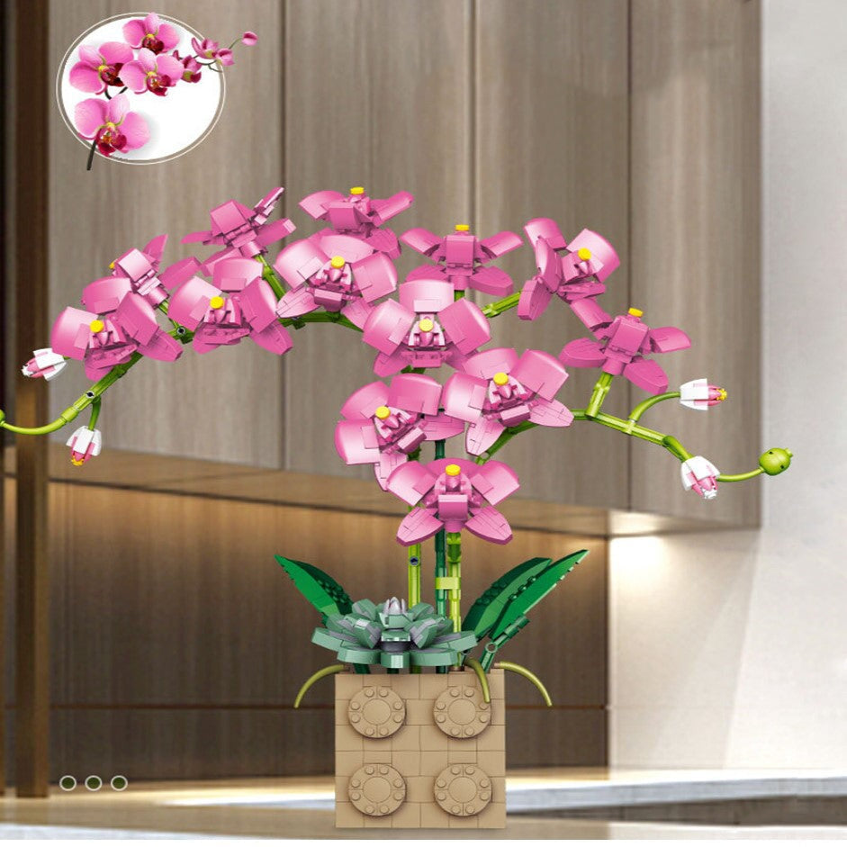 Skanto | Huge Blossoming Orchid Flower Bygning Sett Samling