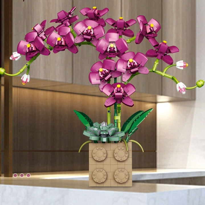 Skanto | Huge Blossoming Orchid Flower Bygning Sett Samling