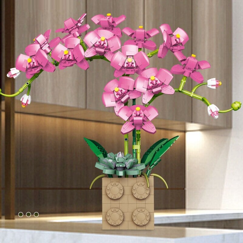 Skanto | Huge Blossoming Orchid Flower Bygning Sett Samling