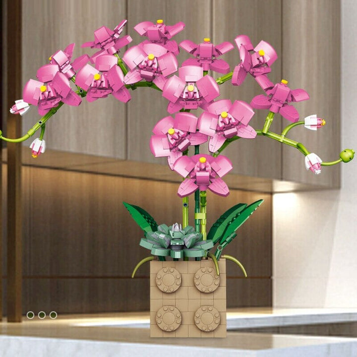 Skanto | Huge Blossoming Orchid Flower Bygning Sett Samling