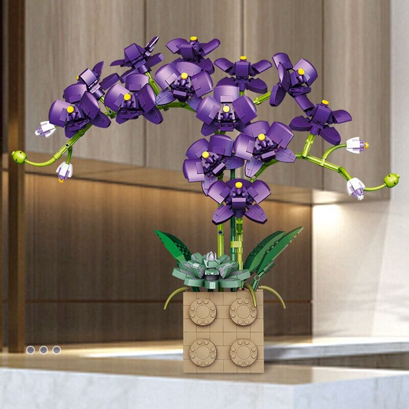 Skanto | Huge Blossoming Orchid Flower Bygning Sett Samling
