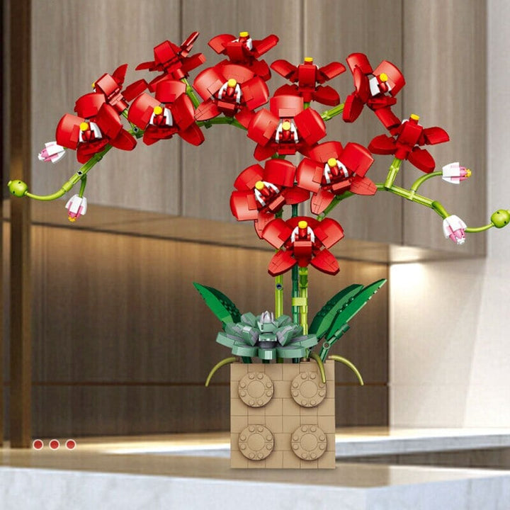 Skanto | Huge Blossoming Orchid Flower Bygning Sett Samling