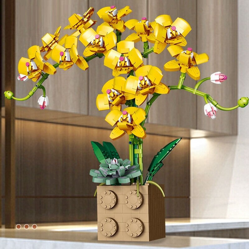 Skanto | Huge Blossoming Orchid Flower Bygning Sett Samling