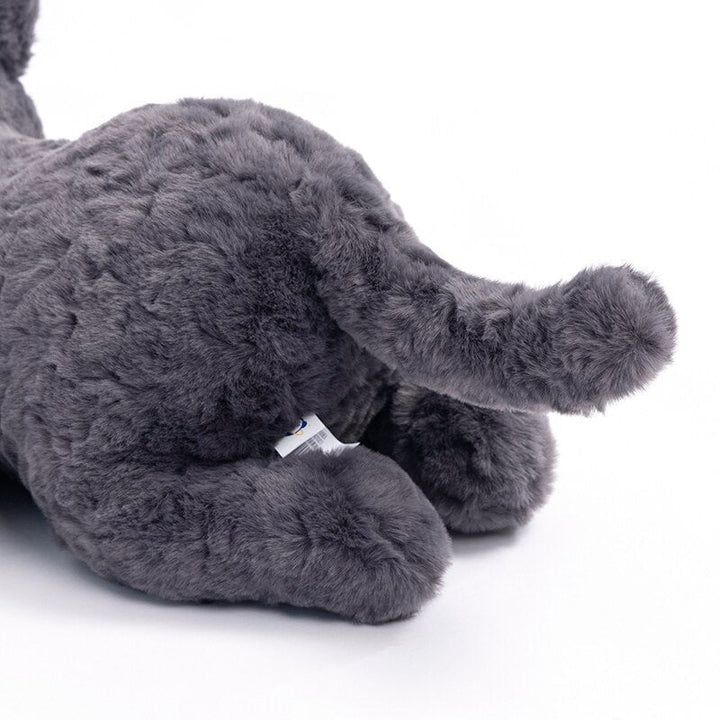 Skanto | Jiji den fluffy svarte katten kosedyr som ligger ned