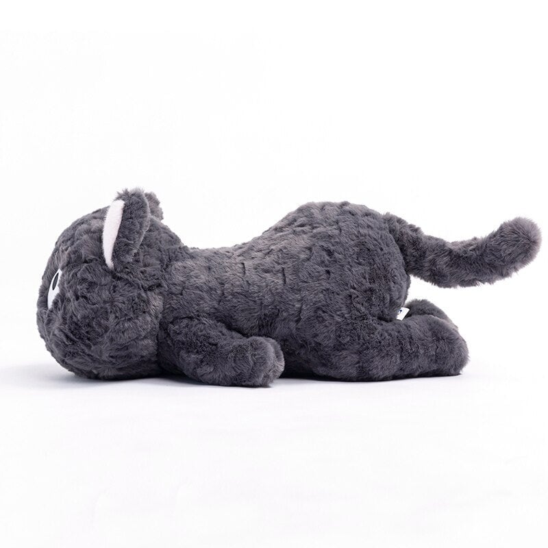 Skanto | Jiji den fluffy svarte katten kosedyr som ligger ned