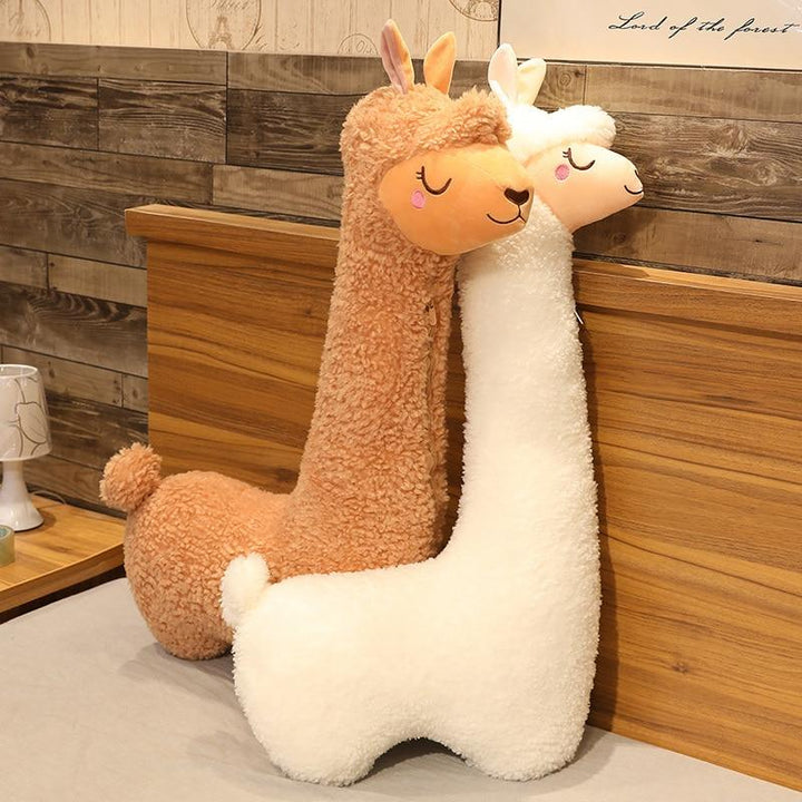 Skanto | Kawaii Alpaca Kosedyr