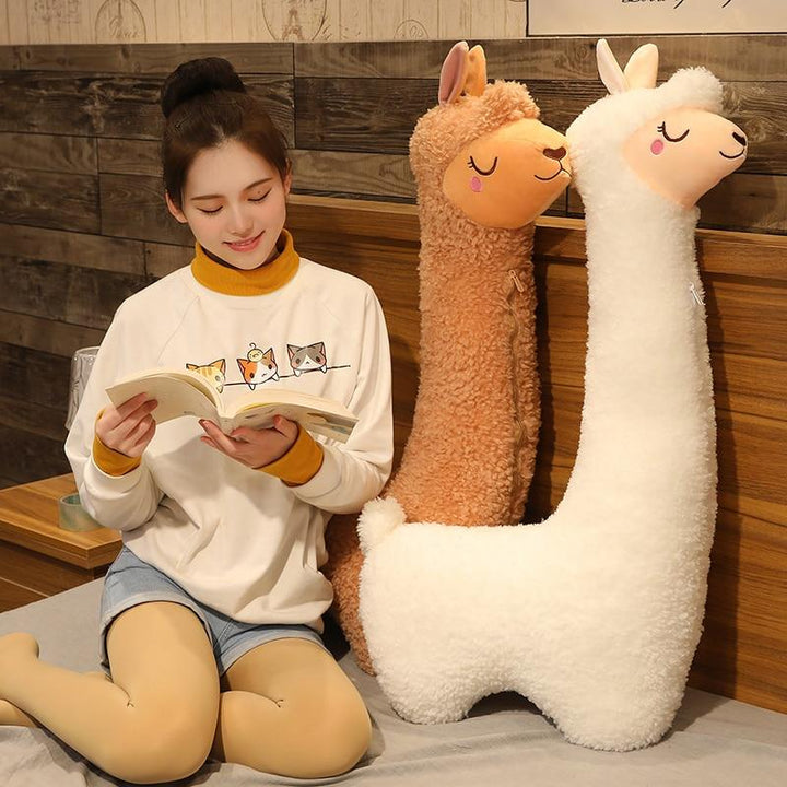 Skanto | Kawaii Alpaca Kosedyr