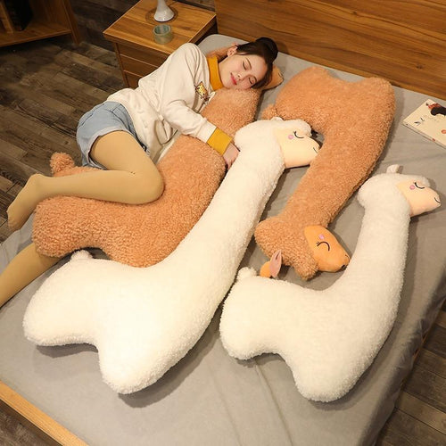 Skanto | Kawaii Alpaca Kosedyr