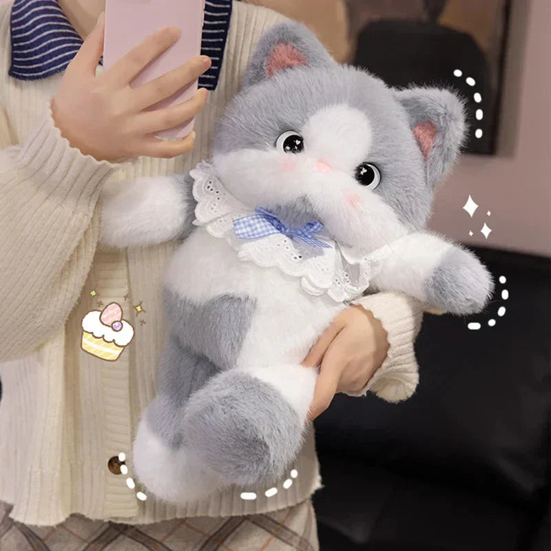 Skanto | Kawaii Katt Kosedyrfamilie med Krage