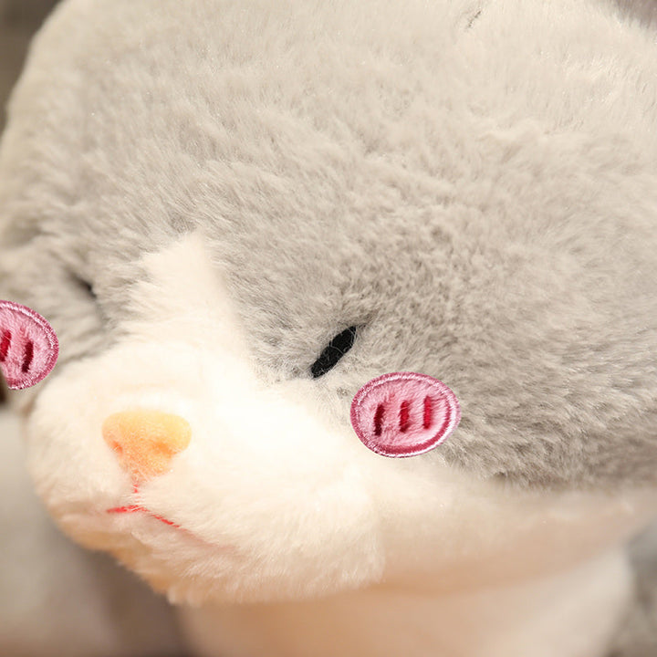 Skanto | Kawaii Grå Halv Katt Halv Hai Kombinasjons Bamse