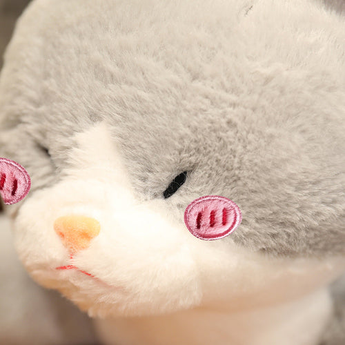 Skanto | Kawaii Grå Halv Katt Halv Hai Kombinasjons Bamse