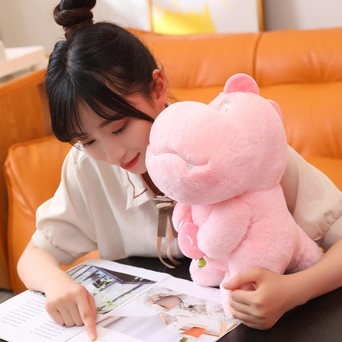 Skanto | Kawaii Rosa Grønn Fluffy Dinosaur Plushies