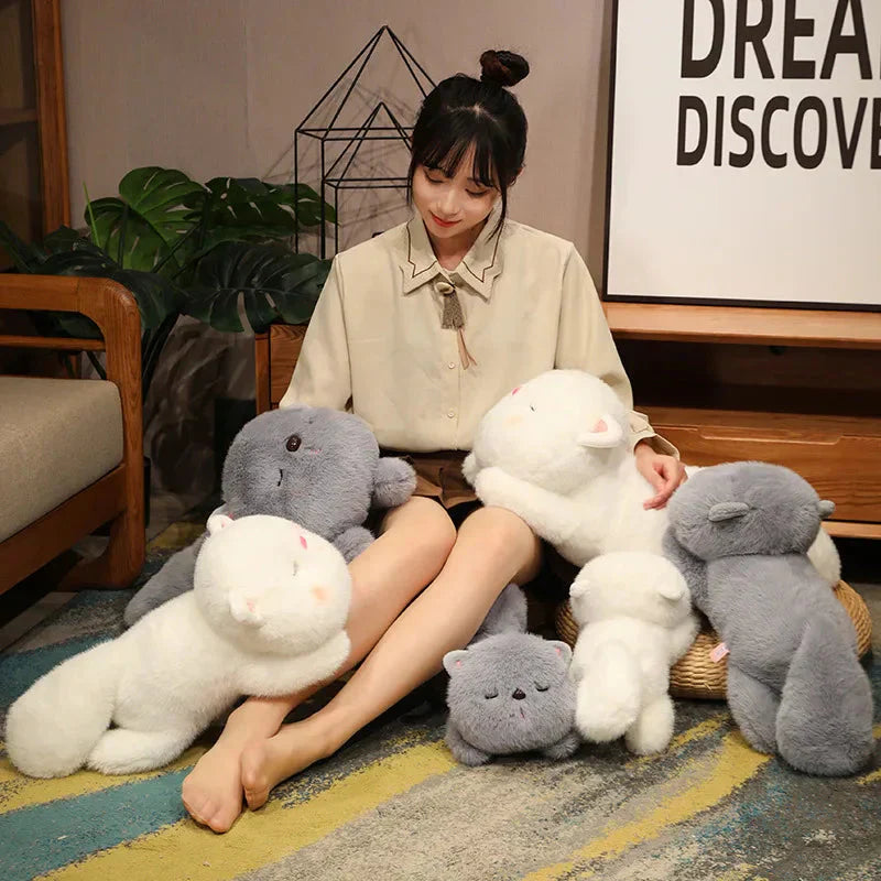 Skanto | Kawaii myk sovende katt