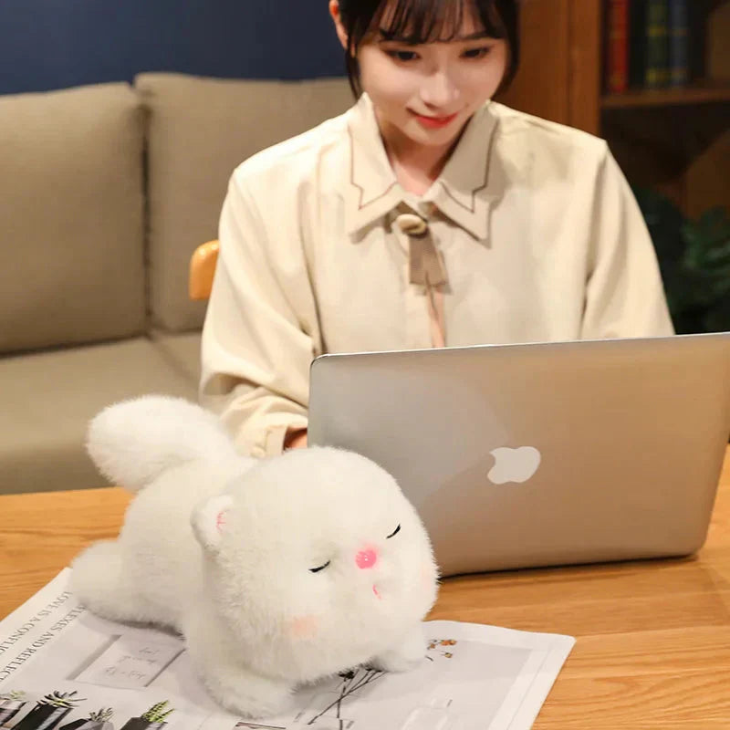 Skanto | Kawaii myk sovende katt
