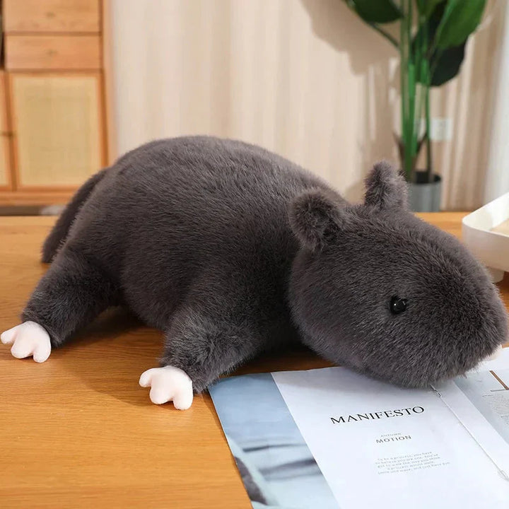 Skanto | Nibbler den svarte klappecklen