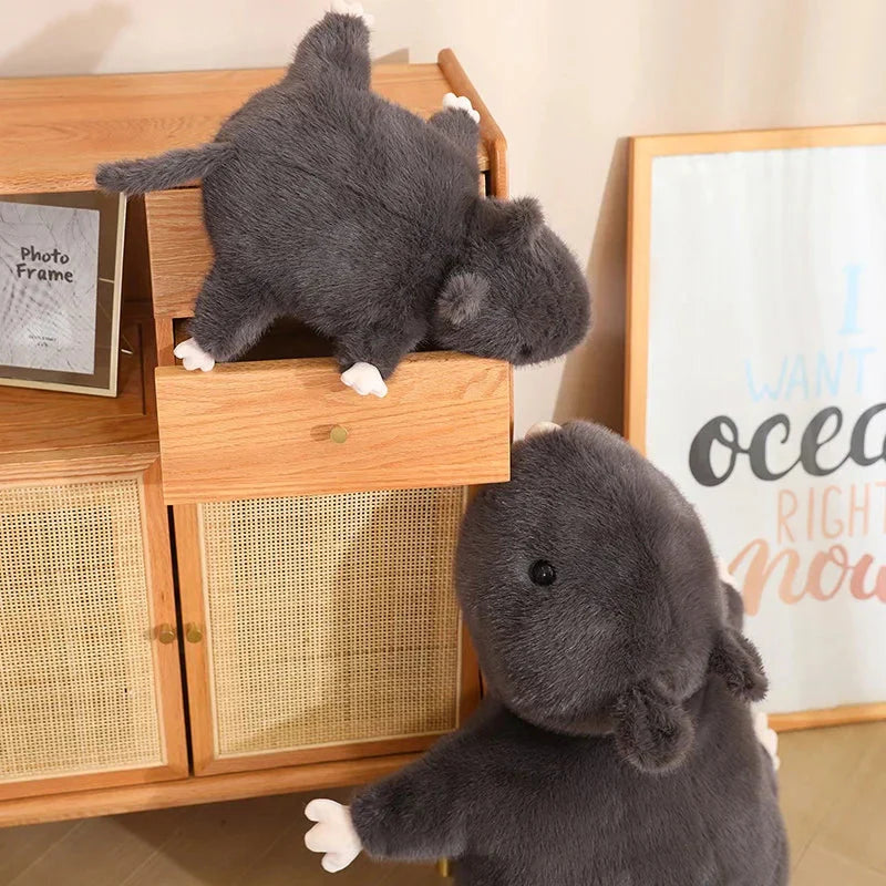 Norvo | Nibbler den svarte klappecklen