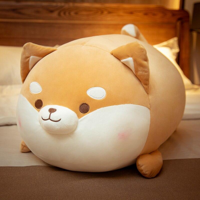 Skanto | Plumpy Blushing Shiba