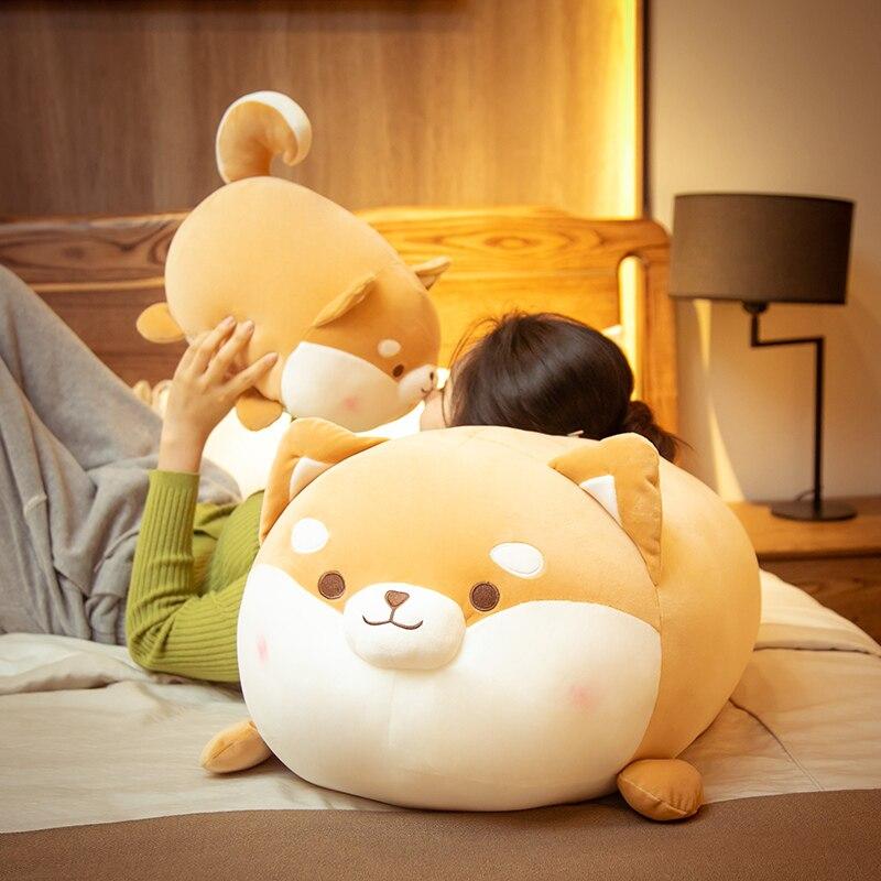 Skanto | Plumpy Blushing Shiba
