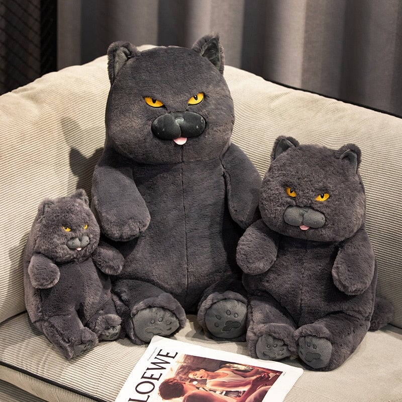 Skanto | Poe den Grumpy Cat Plushie