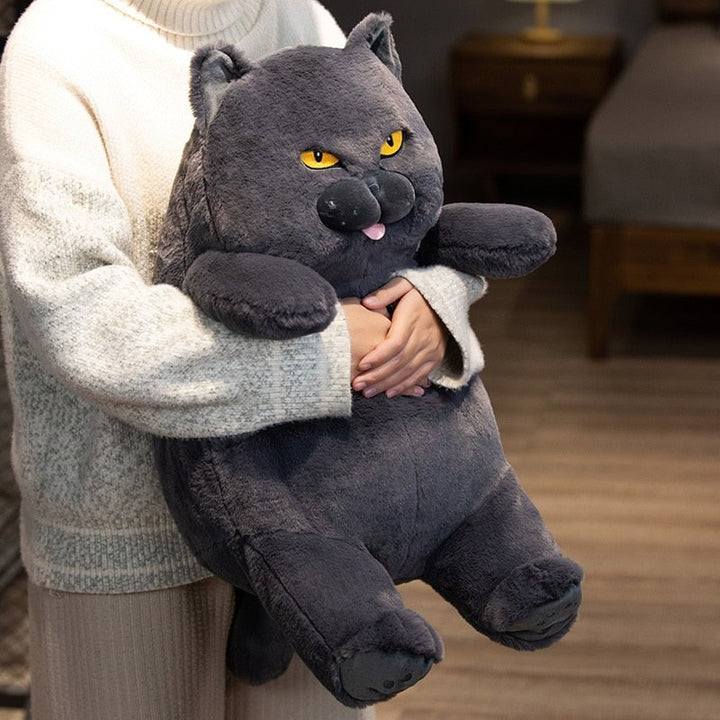 Skanto | Poe den Grumpy Cat Plushie