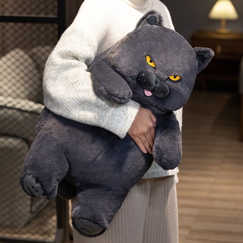 Skanto | Poe den Grumpy Cat Plushie