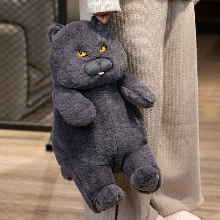 Skanto | Poe den Grumpy Cat Plushie