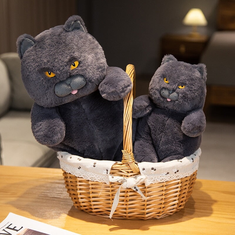 Skanto | Poe den Grumpy Cat Plushie