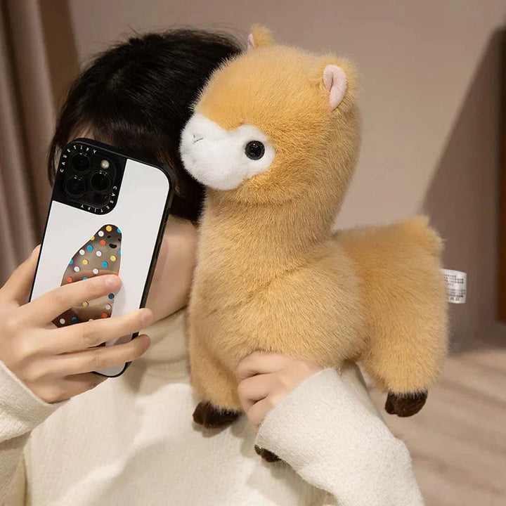 Skanto | Pompom Alpaca Kosedyr Familie