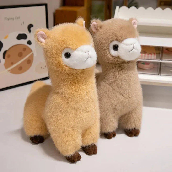 Skanto | Pompom Alpaca Kosedyr Familie