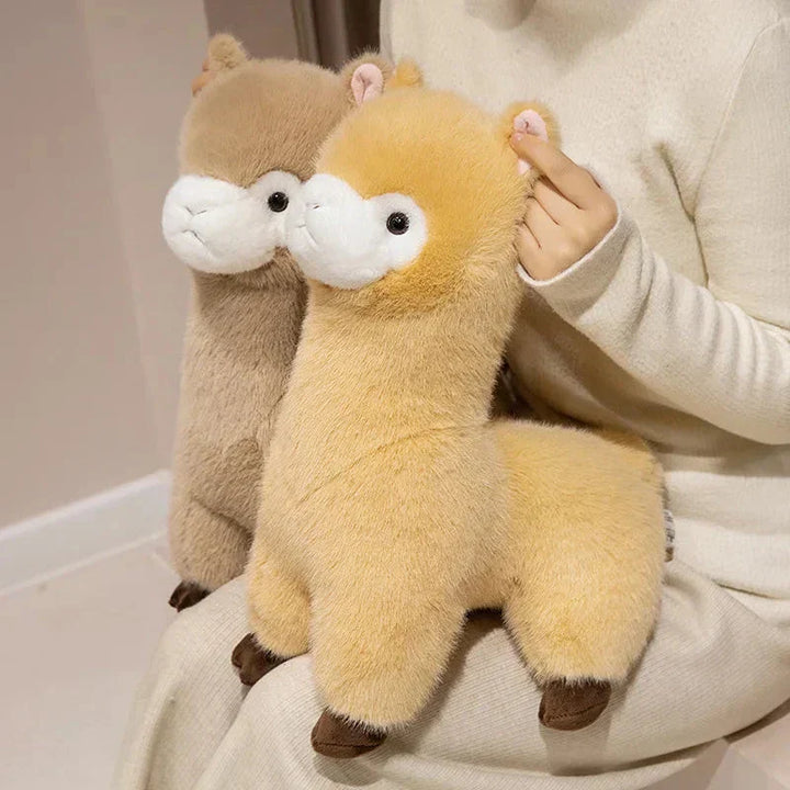 Skanto | Pompom Alpaca Kosedyr Familie