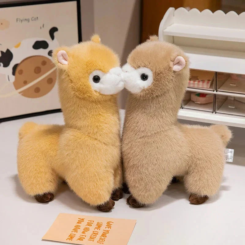 Skanto | Pompom Alpaca Kosedyr Familie