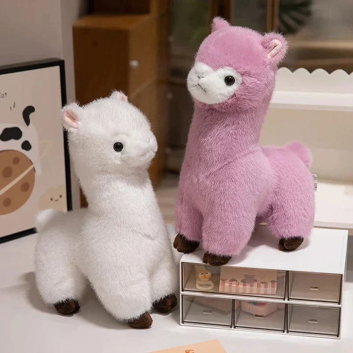 Skanto | Pompom Alpaca Kosedyr Familie