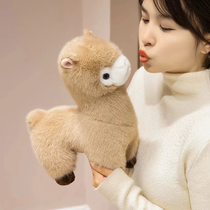 Skanto | Pompom Alpaca Kosedyr Familie